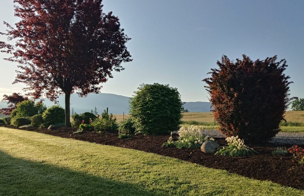 compost-mulch-cover-980x631